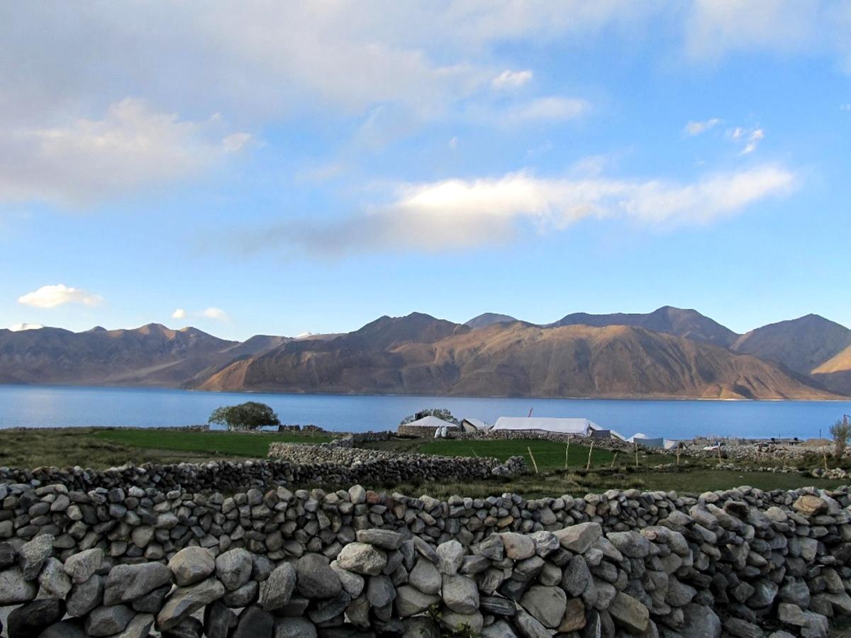 Pangong Delight Camps And Cottages Spangmik Zewnętrze zdjęcie