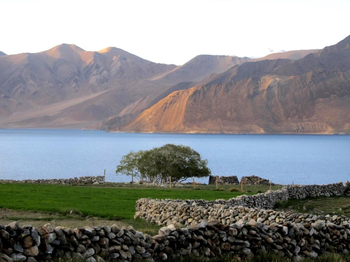 Pangong Delight Camps And Cottages Spangmik Zewnętrze zdjęcie